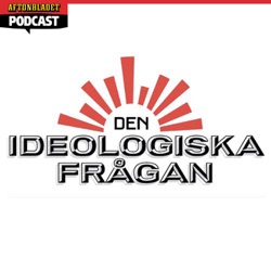 Jonas Sjöstedt: S strävar mot en hygglig kapitalism
